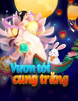 Dumpling Feast